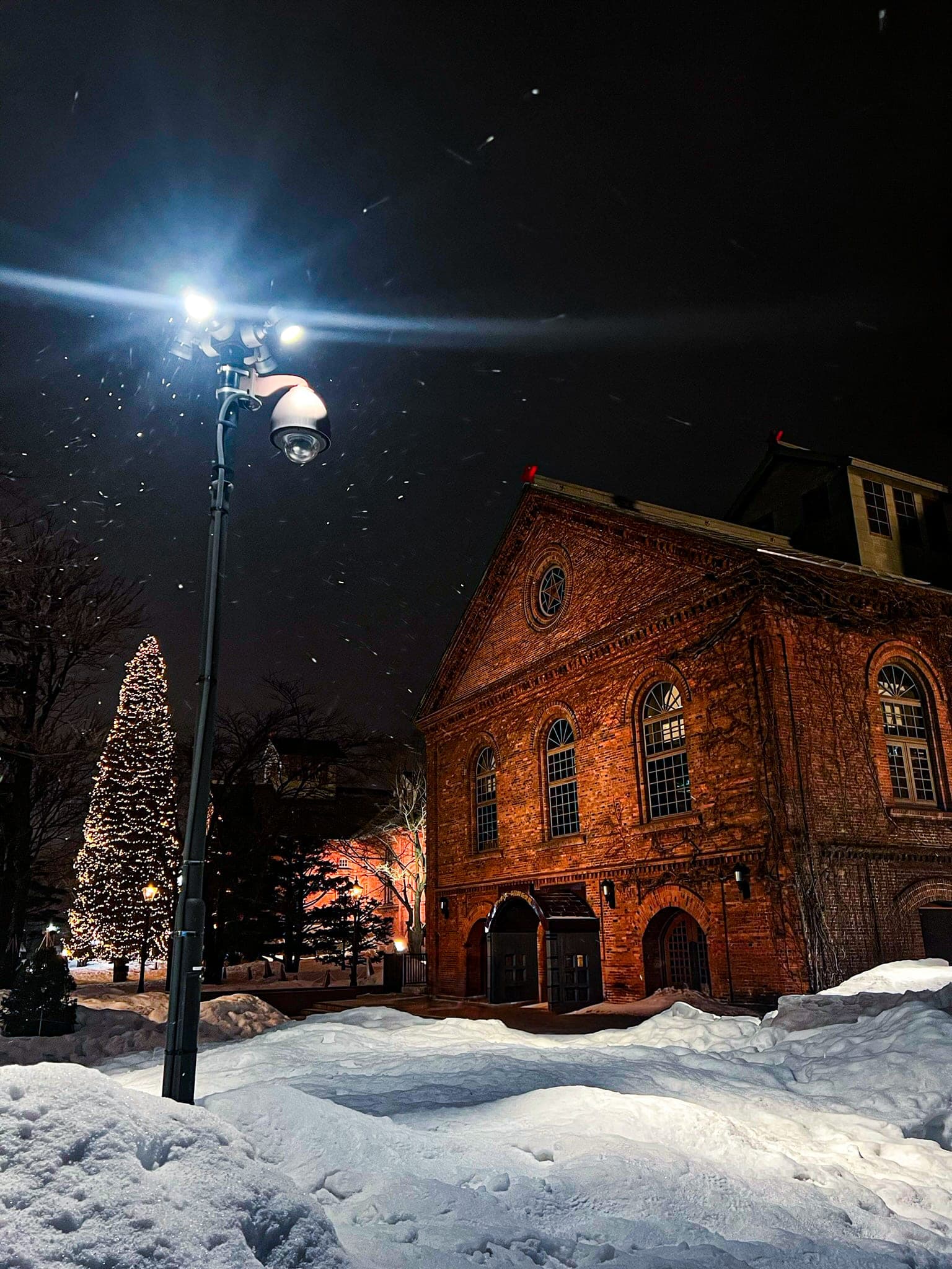 The red brick Sapporo Beer Museum on a snowy night, with a lit Christmas tree and a street lamp in the foreground